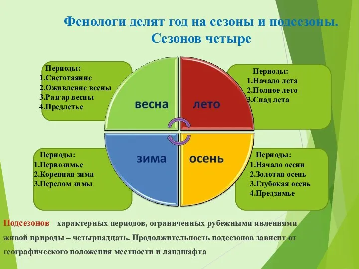 Фенологи делят год на сезоны и подсезоны. Сезонов четыре Подсезонов