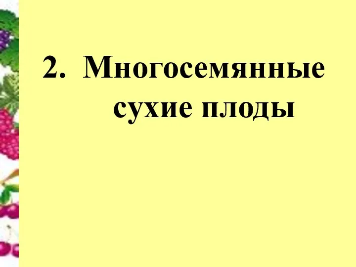 Многосемянные сухие плоды