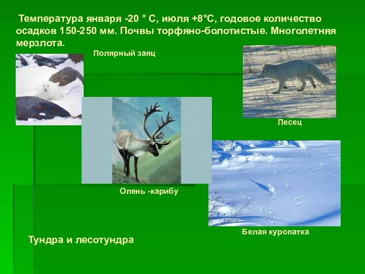 Температура января -20 ° С, июля +8°С, годовое количество осадков