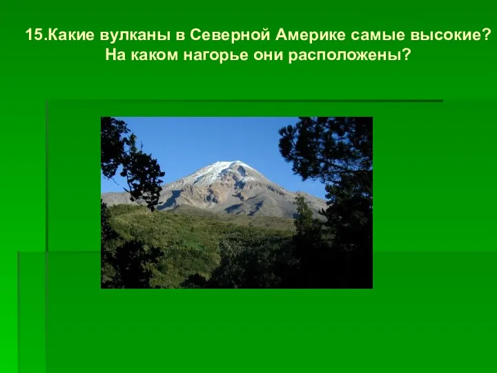 15.Какие вулканы в Северной Америке самые высокие? На каком нагорье они расположены?