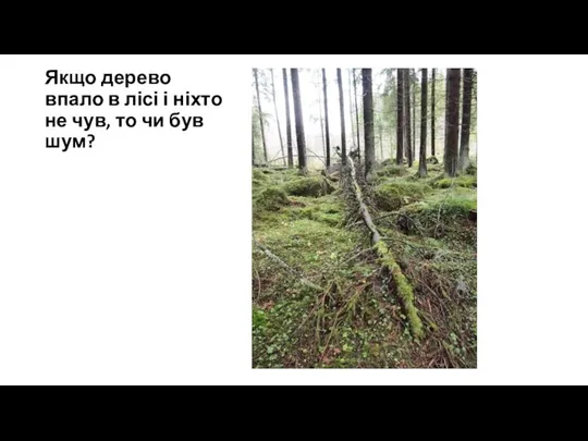 Якщо дерево впало в лісі і ніхто не чув, то чи був шум?