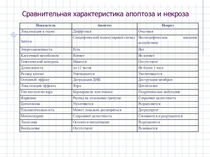 Сравнительная характеристика апоптоза и некроза