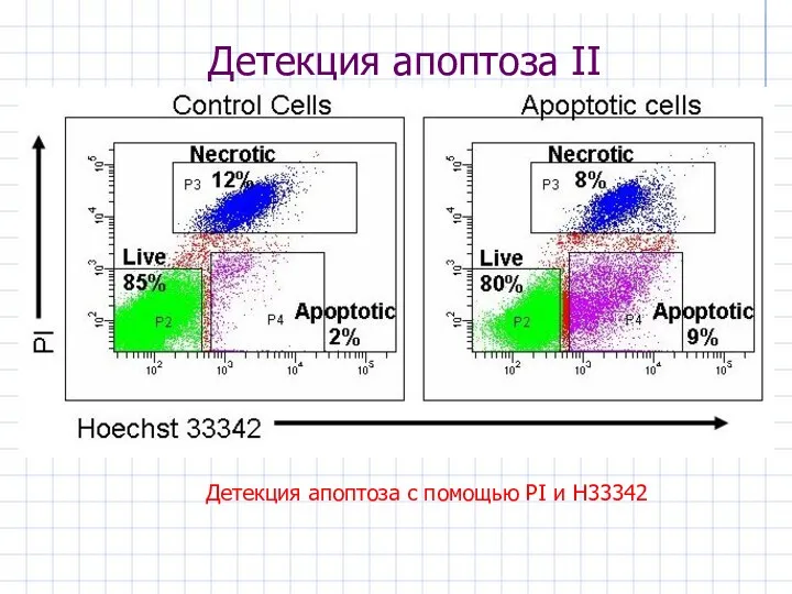 Детекция апоптоза II Детекция апоптоза с помощью PI и H33342