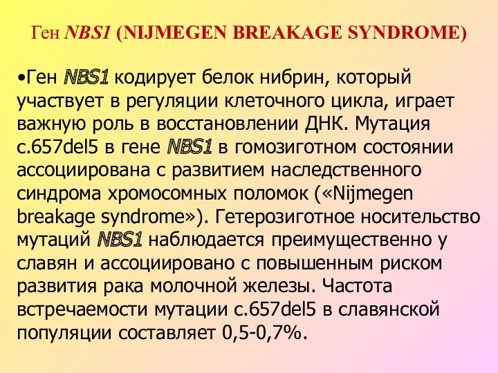 Ген NBS1 (NIJMEGEN BREAKAGE SYNDROME) Ген NBS1 кодирует белок нибрин,