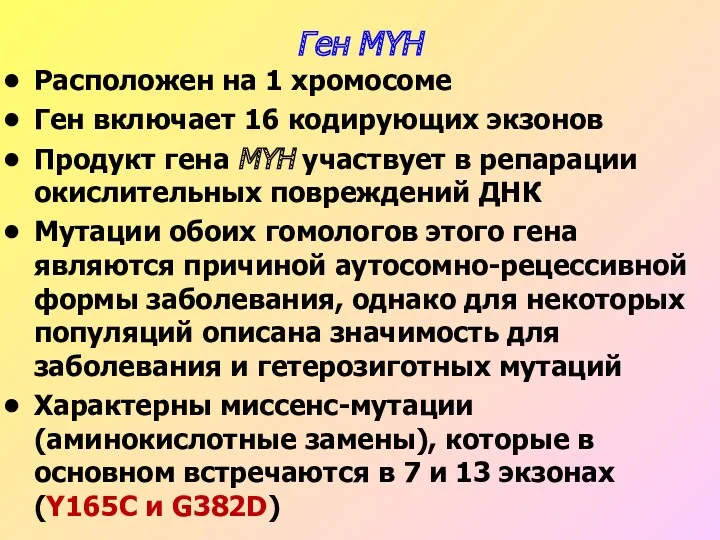 Ген MYH Расположен на 1 хромосоме Ген включает 16 кодирующих