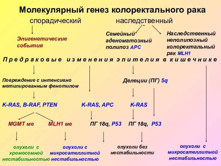 Молекулярный генез колоректального рака спорадический наследственный Семейный аденоматозный полипоз APC