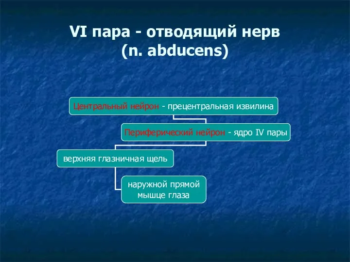 VI пара - отводящий нерв (n. abducens)