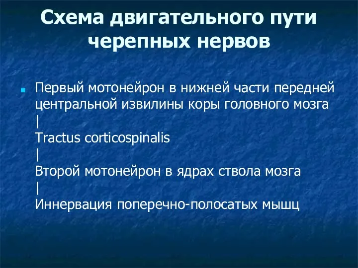 Схема двигательного пути черепных нервов Первый мотонейрон в нижней части