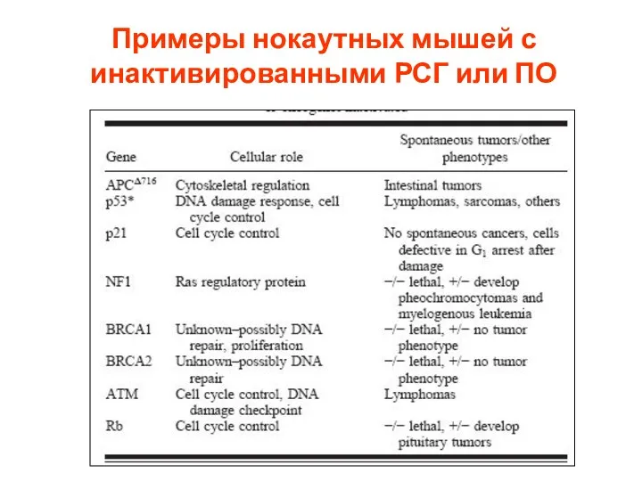 Примеры нокаутных мышей с инактивированными РСГ или ПО