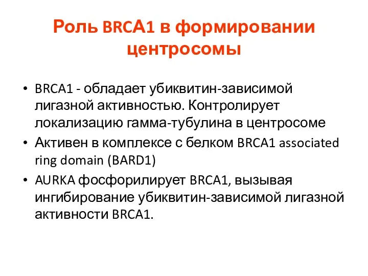 Роль BRCА1 в формировании центросомы BRCA1 - обладает убиквитин-зависимой лигазной активностью. Контролирует локализацию