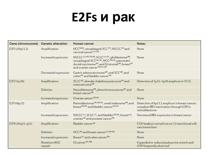 E2Fs и рак