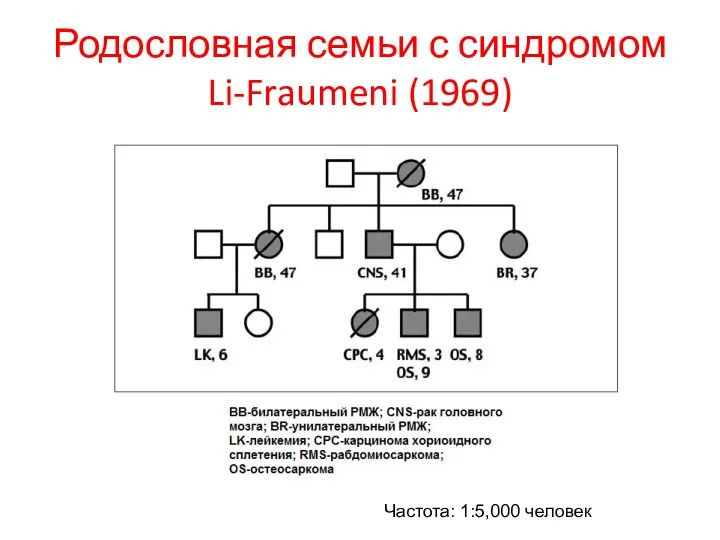 Родословная семьи с синдромом Li-Fraumeni (1969) Частота: 1:5,000 человек