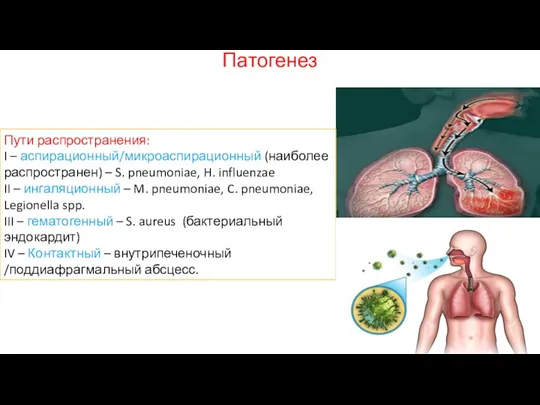 Патогенез Пути распространения: I – аспирационный/микроаспирационный (наиболее распространен) – S.