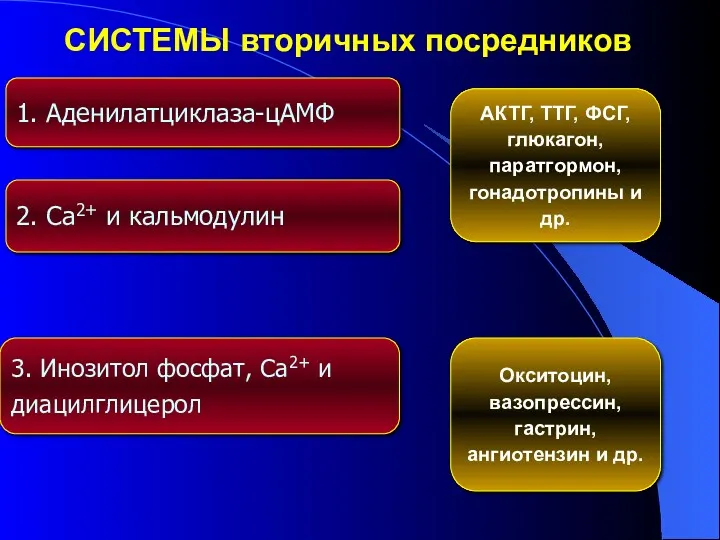 СИСТЕМЫ вторичных посредников 1. Аденилатциклаза-цАМФ 2. Ca2+ и кальмодулин 3. Инозитол фосфат, Ca2+