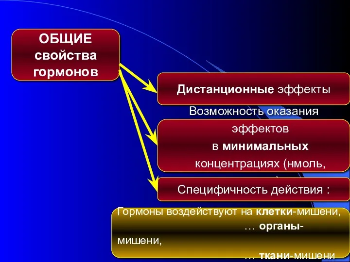 ОБЩИЕ свойства гормонов Возможность оказания эффектов в минимальных концентрациях (нмоль, пмоль) Дистанционные эффекты