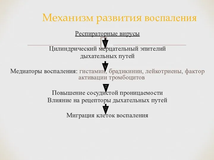 Респираторные вирусы Цилиндрический мерцательный эпителий дыхательных путей Медиаторы воспаления: гистамин,