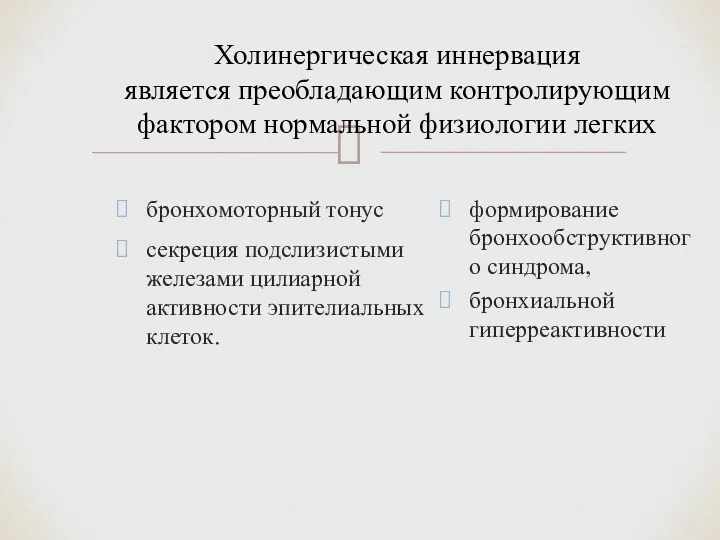 Холинергическая иннервация является преобладающим контролирующим фактором нормальной физиологии легких бронхомоторный