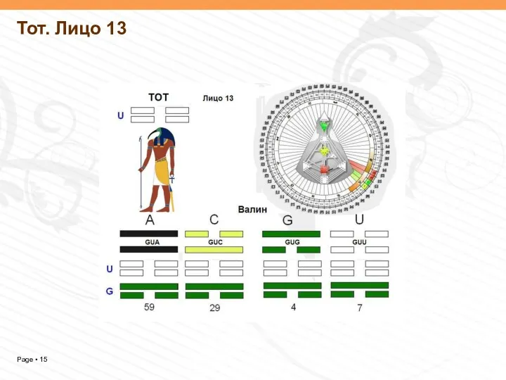 Тот. Лицо 13