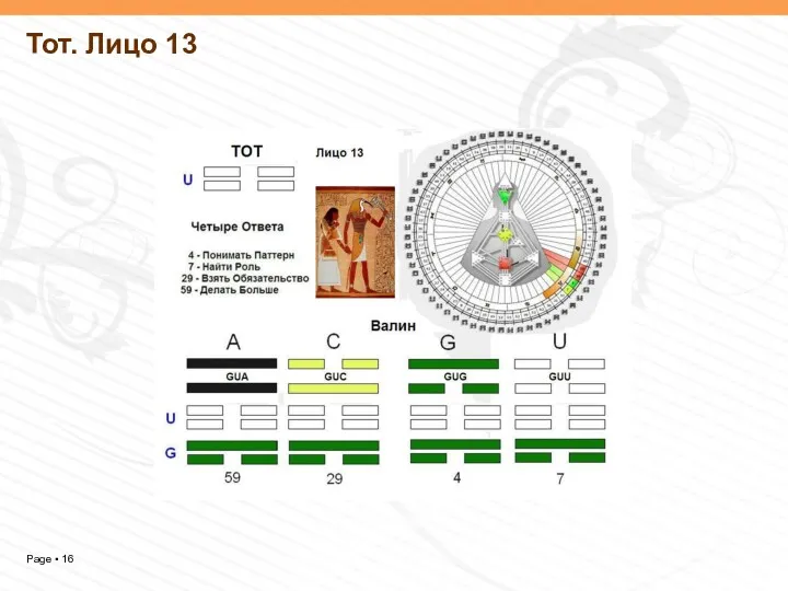 Тот. Лицо 13