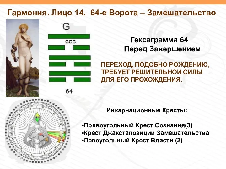 Гармония. Лицо 14. 64-е Ворота – Замешательство Гексаграмма 64 Перед