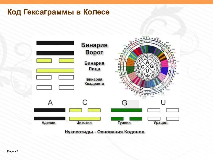 Код Гексаграммы в Колесе