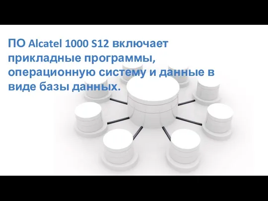 ПО Alcatel 1000 S12 включает прикладные программы, операционную систему и данные в виде базы данных.