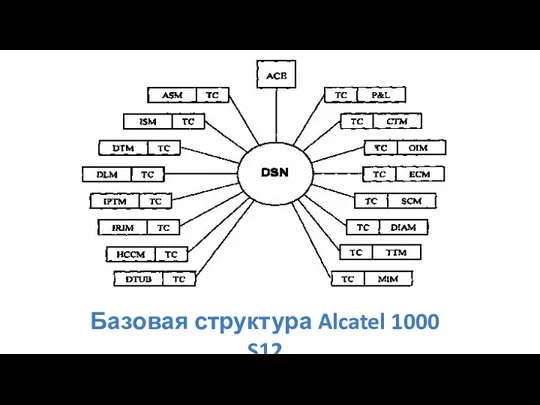 Базовая структура Alcatel 1000 S12