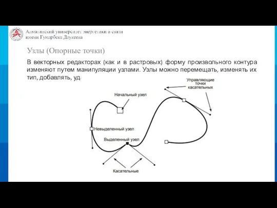 Узлы (Опорные точки) В векторных редакторах (как и в растровых) форму произвольного контура