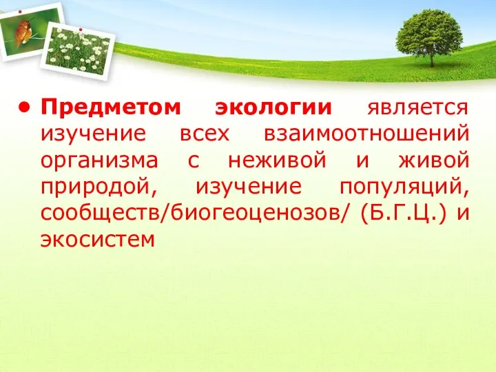 Предметом экологии является изучение всех взаимоотношений организма с неживой и