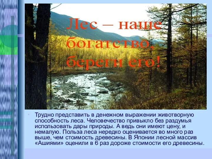 Трудно представить в денежном выражении животворную способность леса. Человечество привыкло