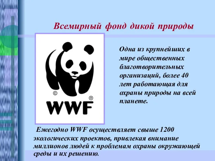 Ежегодно WWF осуществляет свыше 1200 экологических проектов, привлекая внимание миллионов