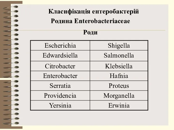 Класифікація ентеробактерій Родина Enterobacteriaceae Роди