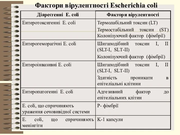 Фактори вірулентності Escherichia coli