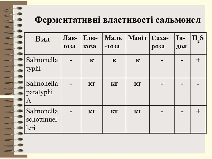 Ферментативні властивості сальмонел
