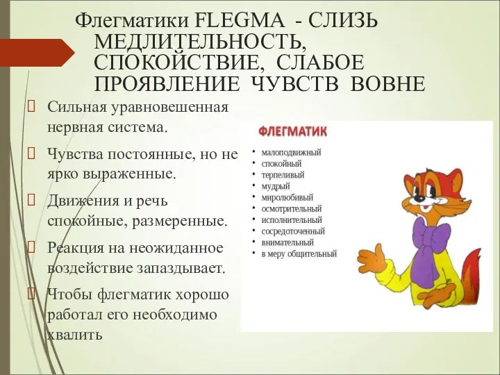 Флегматики FLEGMA - CЛИЗЬ МЕДЛИТЕЛЬНОСТЬ, СПОКОЙСТВИЕ, СЛАБОЕ ПРОЯВЛЕНИЕ ЧУВСТВ ВОВНЕ