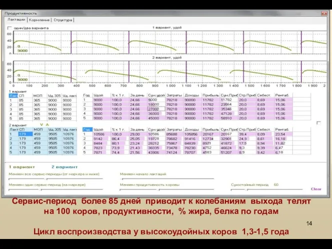 СПАСИБО Сервис-период более 85 дней приводит к колебаниям выхода телят