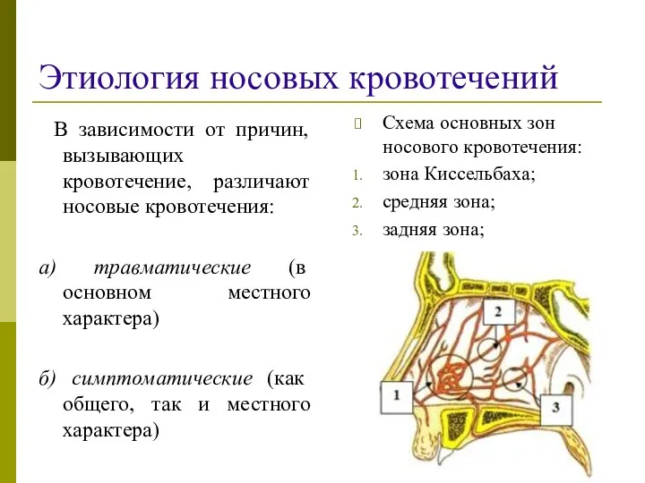 Этиология носовых кровотечений В зависимости от причин, вызывающих кровотечение, различают