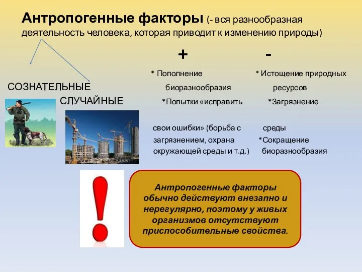 Антропогенные факторы (- вся разнообразная деятельность человека, которая приводит к изменению природы) +