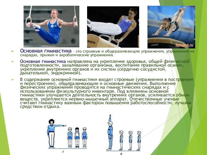 Основная гимнастика – это строевые и общеразвивающие упражнения, упражнения на