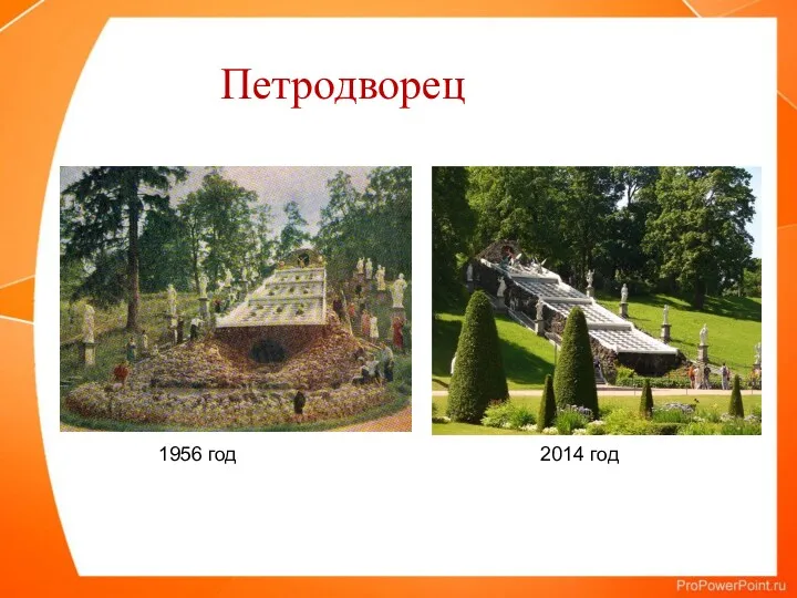 Петродворец 1956 год 2014 год