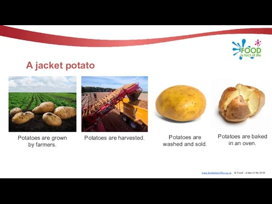 A jacket potato Potatoes are grown by farmers. Potatoes are