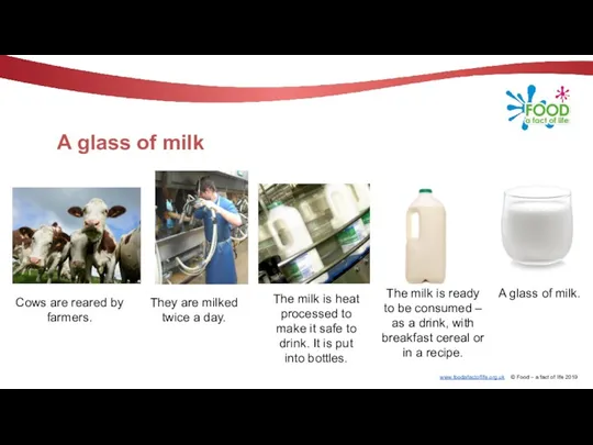 A glass of milk Cows are reared by farmers. The