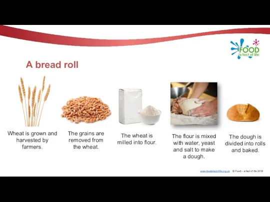 A bread roll Wheat is grown and harvested by farmers.