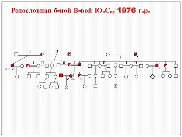 Родословная б-ной В-вой Ю.С., 1976 г.р. ! (76) (83) +