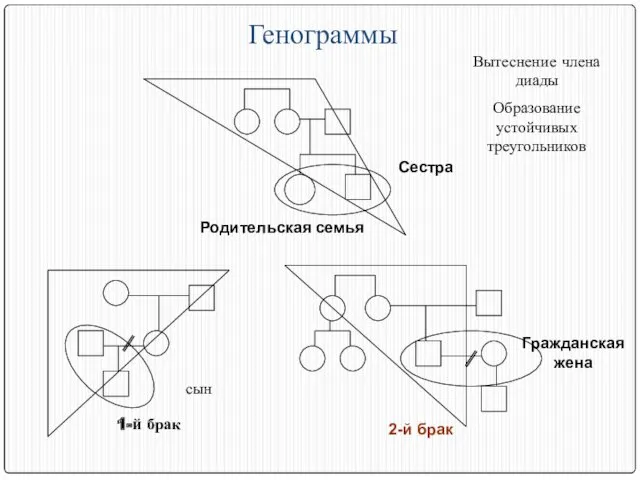 Генограммы Родительская семья Вытеснение члена диады Образование устойчивых треугольников Гражданская