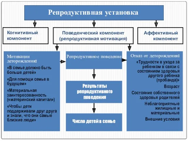 Репродуктивная установка Когнитивный компонент Поведенческий компонент (репродуктивная мотивация) Аффективный компонент