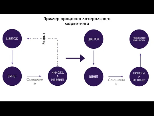 Пример процесса латерального маркетинга ЦВЕТОК ВЯНЕТ НИКОГДА НЕ ВЯНЕТ Смещение