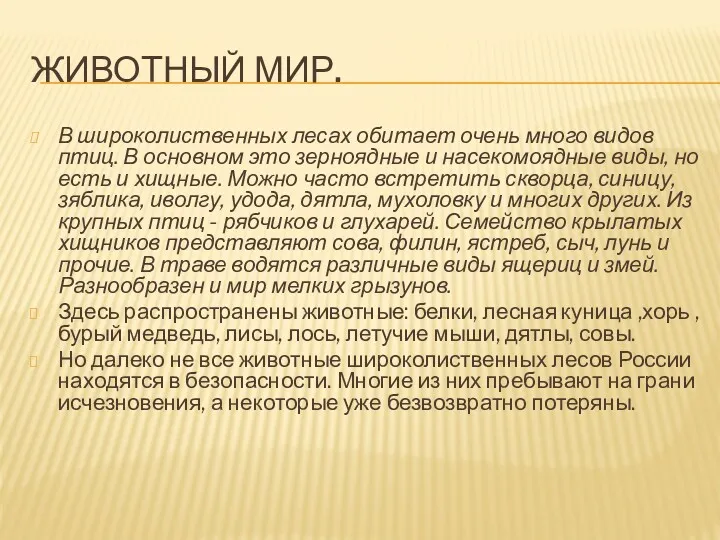 ЖИВОТНЫЙ МИР. В широколиственных лесах обитает очень много видов птиц.