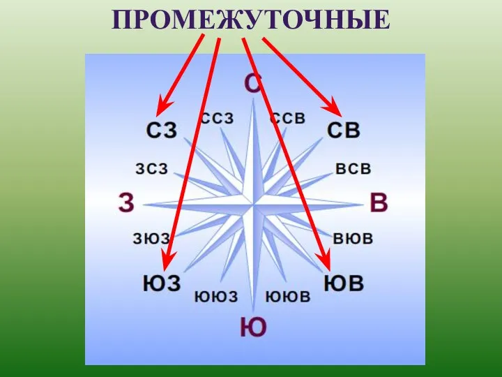 ПРОМЕЖУТОЧНЫЕ