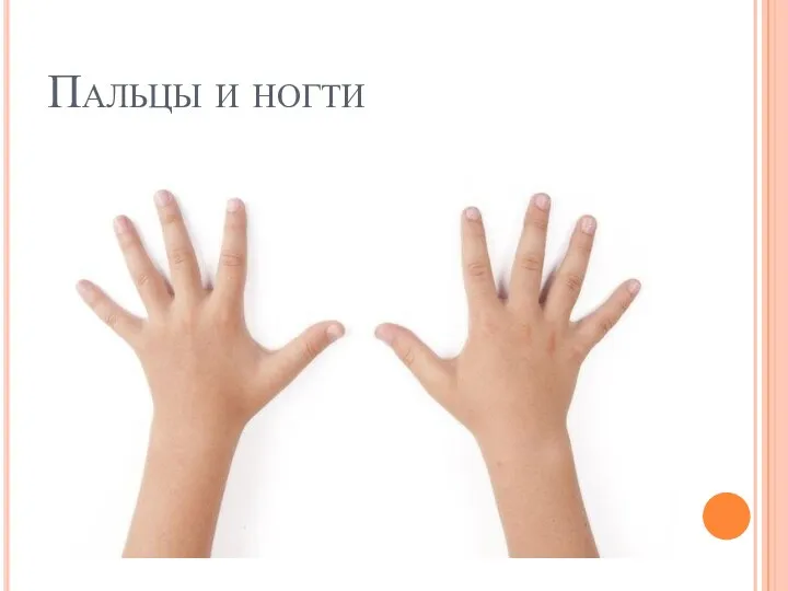 Пальцы и ногти